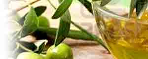 imagen de aceites d.o. valencia