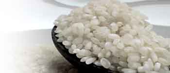 Arroz bomba de Valencia