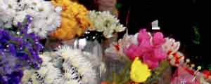 floristerias de valencia