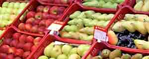 imagen de Fruterias Valencia