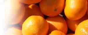 Naranjas de Valencia