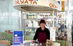 orxata de xufes valenciana