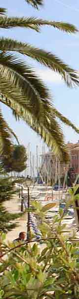 Jardines del Turia de Valencia