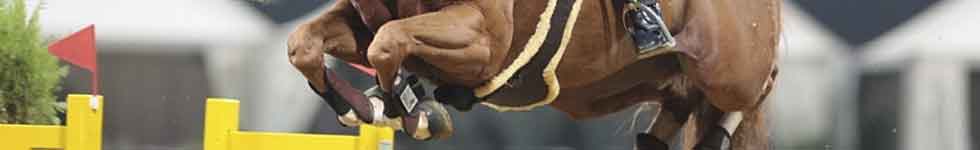 imagen Global Champions Tour Valencia 2010