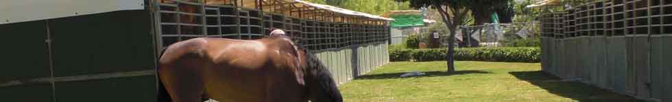 imagen del Jardin del Caballo - GCT Valencia 2010