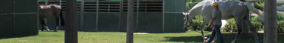 imagen de GCT Valencia 2010