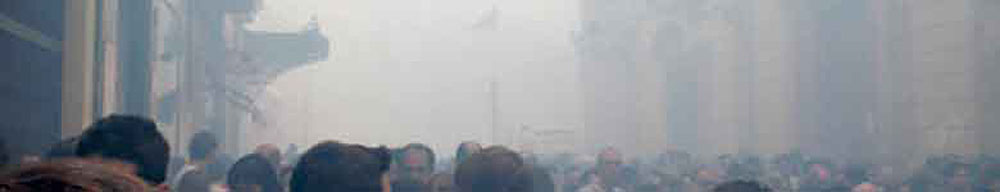 CARTEL DE FALLAS 2009