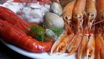 Restaurantes Marisquerias Valencia MARISQUERIAS DE VALENCIA