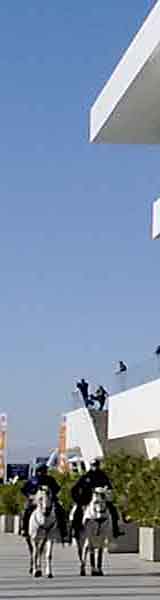 Copa del America en Valencia