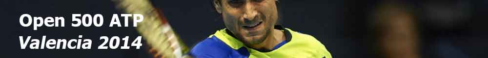 Valencia Open Tenis 500 ATP
