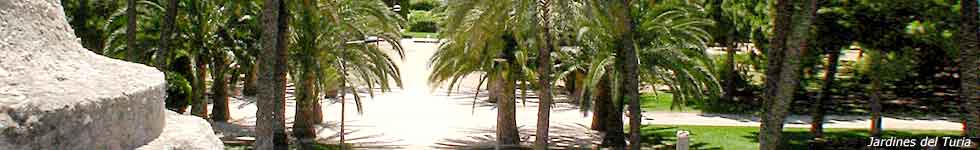 imagen de los jardines del turia de valencia