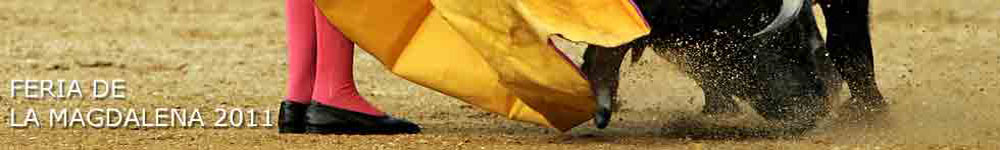 Programa de Fiestas de Castellon 2011