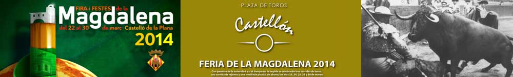 Toros en las Fiestas de Castellon 2014