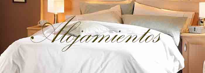 Imagen de Alojamientos hotel Alicante