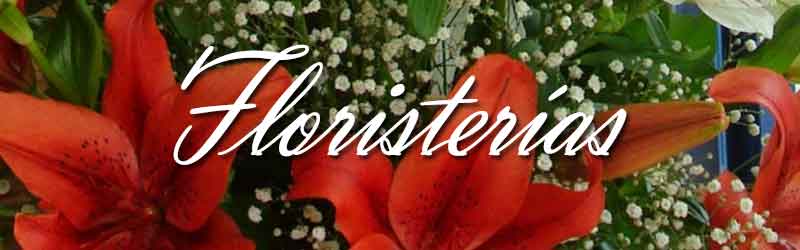 Imagen hemisferico de Valencia