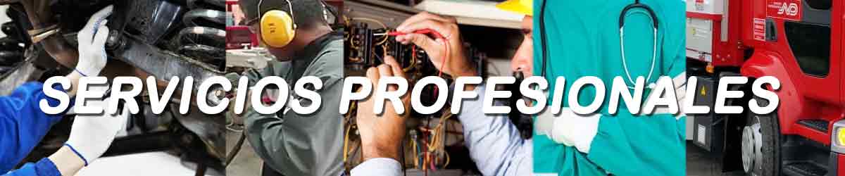 imagen de servicios profesionales
